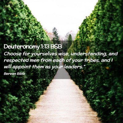 Picture 02 - Deuteronomy 1:13 BSB - Choose for yourselves wise, understanding, and - Bible Verse Picture