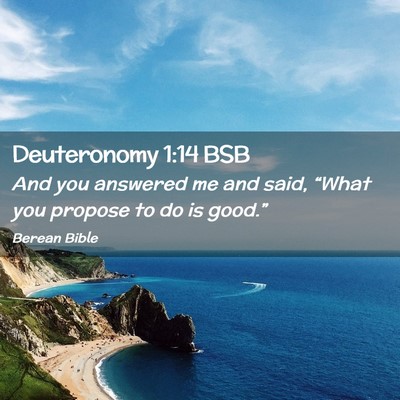 Picture 02 - Deuteronomy 1:14 BSB - And you answered me and said, “What you propose - Bible Verse Picture
