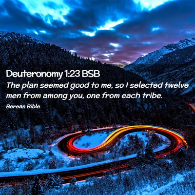 Picture 02 - Deuteronomy 1:23 BSB - The plan seemed good to me, so I selected twelve - Bible Verse Picture
