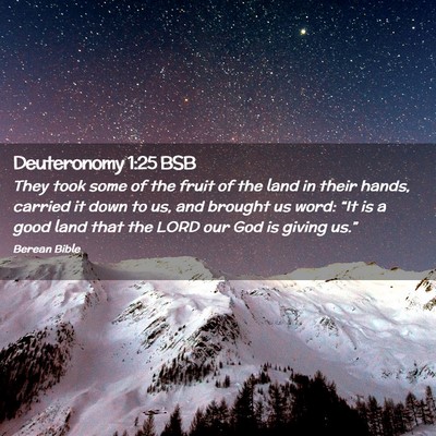 Picture 02 - Deuteronomy 1:25 BSB - They took some of the fruit of the land in their - Bible Verse Picture