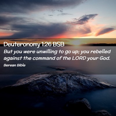 Picture 02 - Deuteronomy 1:26 BSB - But you were unwilling to go up; you rebelled - Bible Verse Picture