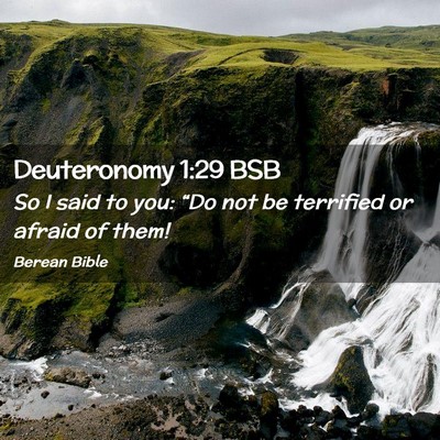 Picture 02 - Deuteronomy 1:29 BSB - So I said to you: “Do not be terrified or - Bible Verse Picture