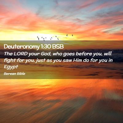Picture 02 - Deuteronomy 1:30 BSB - The LORD your God, who goes before you, will - Bible Verse Picture