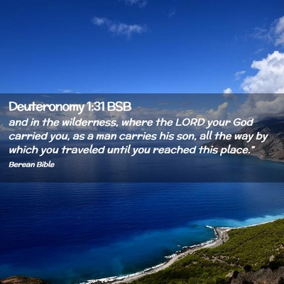 Picture 02 - Deuteronomy 1:31 BSB - and in the wilderness, where the LORD your God - Bible Verse Picture