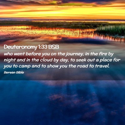 Picture 02 - Deuteronomy 1:33 BSB - who went before you on the journey, in the fire - Bible Verse Picture