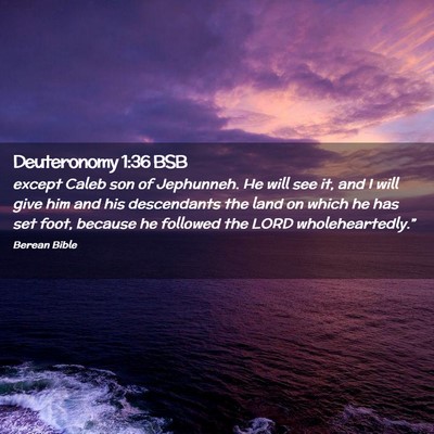 Picture 02 - Deuteronomy 1:36 BSB - except Caleb son of Jephunneh. He will see it, - Bible Verse Picture