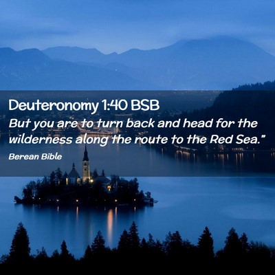 Picture 02 - Deuteronomy 1:40 BSB - But you are to turn back and head for the - Bible Verse Picture