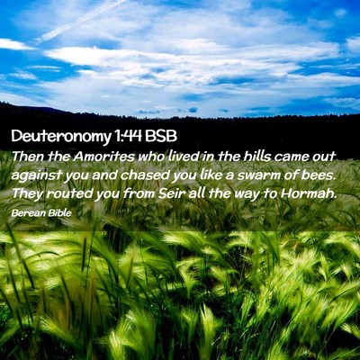 Picture 02 - Deuteronomy 1:44 BSB - Then the Amorites who lived in the hills came out - Bible Verse Picture