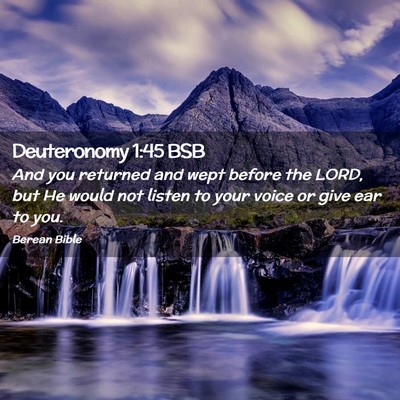 Picture 02 - Deuteronomy 1:45 BSB - And you returned and wept before the LORD, but He - Bible Verse Picture
