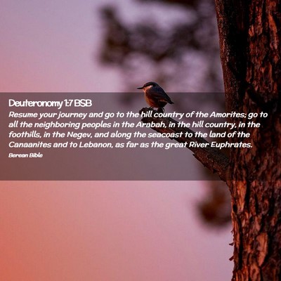 Picture 02 - Deuteronomy 1:7 BSB - Resume your journey and go to the hill country of - Bible Verse Picture