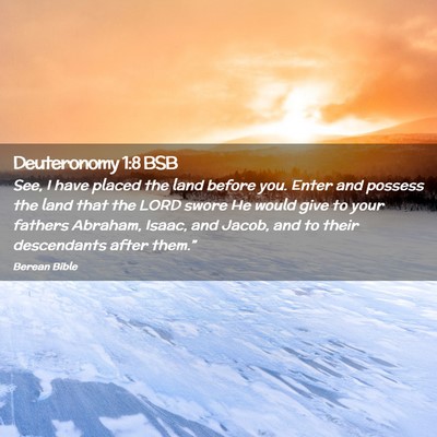 Picture 02 - Deuteronomy 1:8 BSB - See, I have placed the land before you. Enter and - Bible Verse Picture