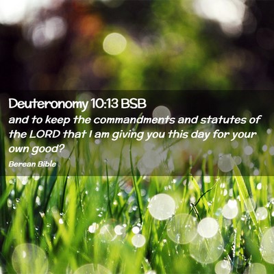 Picture 02 - Deuteronomy 10:13 BSB - and to keep the commandments and statutes of the - Bible Verse Picture