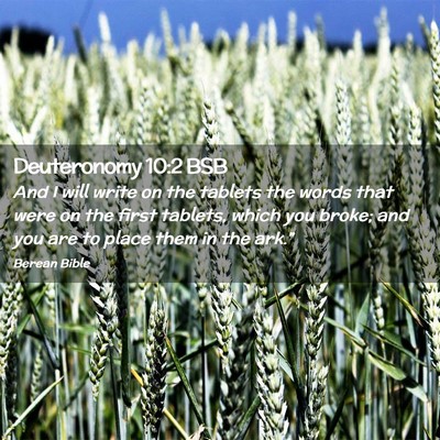 Picture 02 - Deuteronomy 10:2 BSB - And I will write on the tablets the words that - Bible Verse Picture