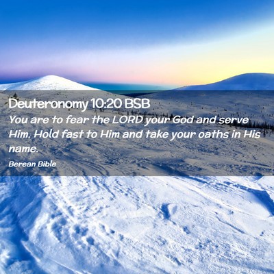 Picture 02 - Deuteronomy 10:20 BSB - You are to fear the LORD your God and serve Him. - Bible Verse Picture