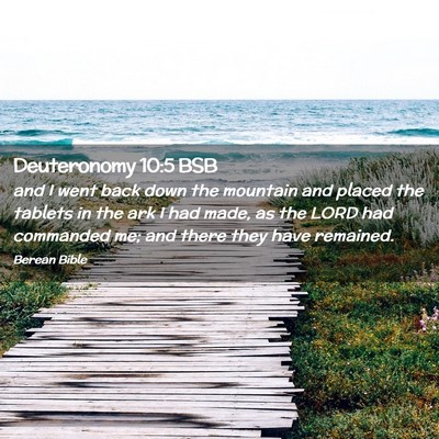 Picture 02 - Deuteronomy 10:5 BSB - and I went back down the mountain and placed the - Bible Verse Picture