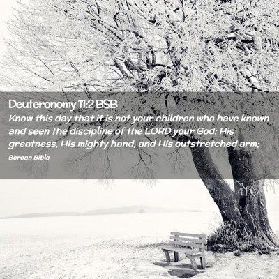 Picture 02 - Deuteronomy 11:2 BSB - Know this day that it is not your children who - Bible Verse Picture