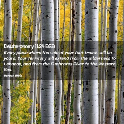 Picture 02 - Deuteronomy 11:24 BSB - Every place where the sole of your foot treads - Bible Verse Picture