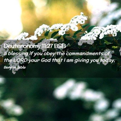 Picture 02 - Deuteronomy 11:27 BSB - a blessing if you obey the commandments of the - Bible Verse Picture