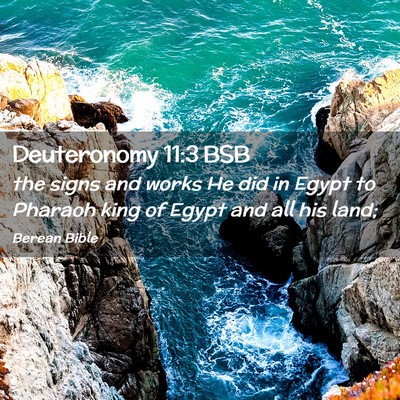 Picture 02 - Deuteronomy 11:3 BSB - the signs and works He did in Egypt to Pharaoh - Bible Verse Picture