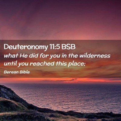 Picture 02 - Deuteronomy 11:5 BSB - what He did for you in the wilderness until you - Bible Verse Picture