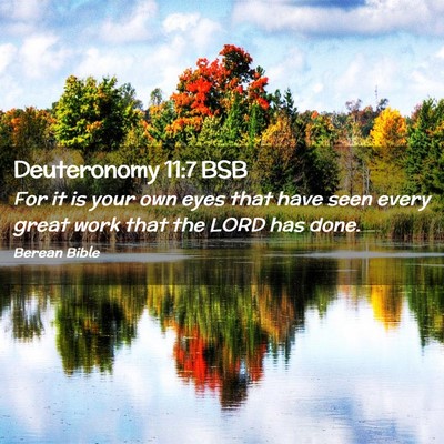 Picture 02 - Deuteronomy 11:7 BSB - For it is your own eyes that have seen every - Bible Verse Picture