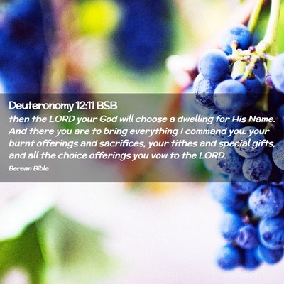 Picture 02 - Deuteronomy 12:11 BSB - then the LORD your God will choose a dwelling for - Bible Verse Picture