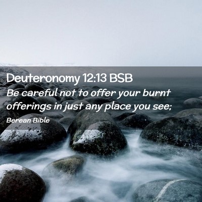 Picture 02 - Deuteronomy 12:13 BSB - Be careful not to offer your burnt offerings in - Bible Verse Picture
