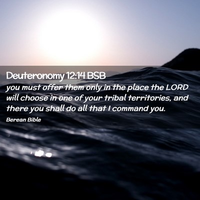 Picture 02 - Deuteronomy 12:14 BSB - you must offer them only in the place the LORD - Bible Verse Picture