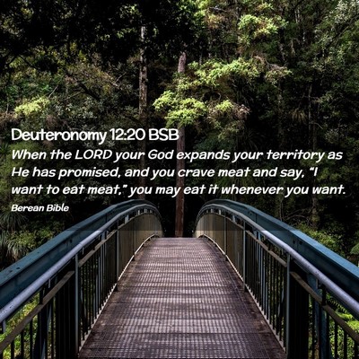 Picture 02 - Deuteronomy 12:20 BSB - When the LORD your God expands your territory as - Bible Verse Picture