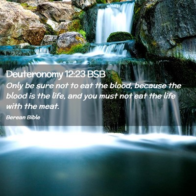 Picture 02 - Deuteronomy 12:23 BSB - Only be sure not to eat the blood, because the - Bible Verse Picture