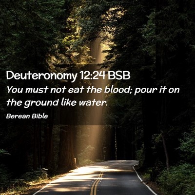 Picture 02 - Deuteronomy 12:24 BSB - You must not eat the blood; pour it on the ground - Bible Verse Picture