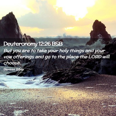 Picture 02 - Deuteronomy 12:26 BSB - But you are to take your holy things and your vow - Bible Verse Picture