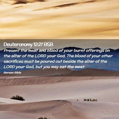 Picture 02 - Deuteronomy 12:27 BSB - Present the meat and blood of your burnt - Bible Verse Picture