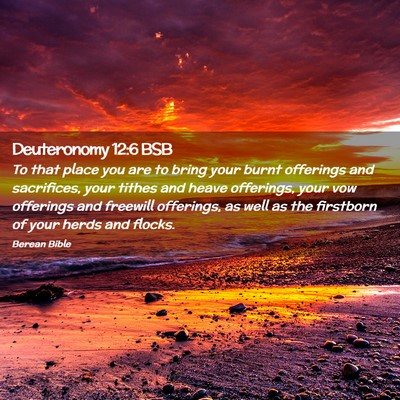 Picture 02 - Deuteronomy 12:6 BSB - To that place you are to bring your burnt - Bible Verse Picture