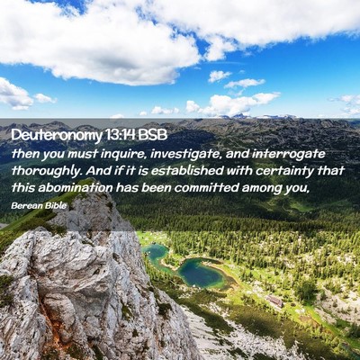 Picture 02 - Deuteronomy 13:14 BSB - then you must inquire, investigate, and - Bible Verse Picture