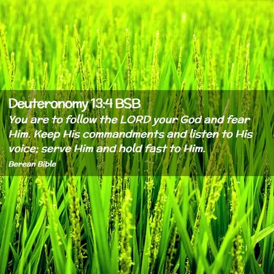 Picture 02 - Deuteronomy 13:4 BSB - You are to follow the LORD your God and fear Him. - Bible Verse Picture
