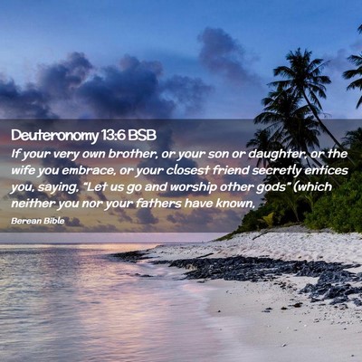 Picture 02 - Deuteronomy 13:6 BSB - If your very own brother, or your son or - Bible Verse Picture