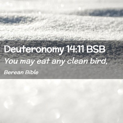 Picture 02 - Deuteronomy 14:11 BSB - You may eat any clean - Bible Verse Picture