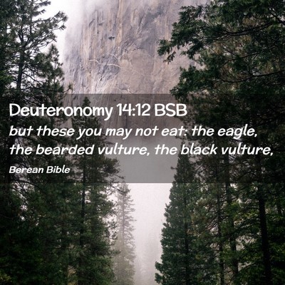 Picture 02 - Deuteronomy 14:12 BSB - but these you may not eat: the eagle, the bearded - Bible Verse Picture