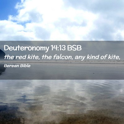 Picture 02 - Deuteronomy 14:13 BSB - the red kite, the falcon, any kind of - Bible Verse Picture