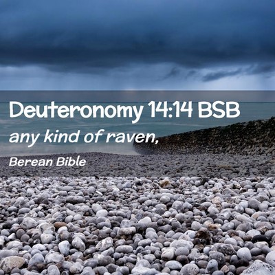 Picture 02 - Deuteronomy 14:14 BSB - any kind of - Bible Verse Picture
