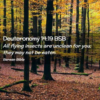 Picture 02 - Deuteronomy 14:19 BSB - All flying insects are unclean for you; they may - Bible Verse Picture