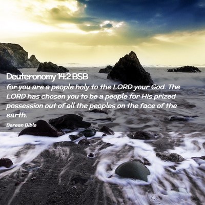 Picture 02 - Deuteronomy 14:2 BSB - for you are a people holy to the LORD your God. - Bible Verse Picture