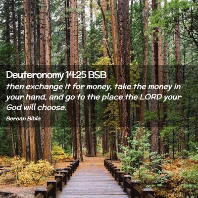 Picture 02 - Deuteronomy 14:25 BSB - then exchange it for money, take the money in - Bible Verse Picture