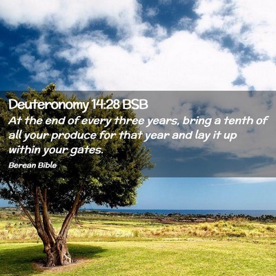 Picture 02 - Deuteronomy 14:28 BSB - At the end of every three years, bring a tenth of - Bible Verse Picture
