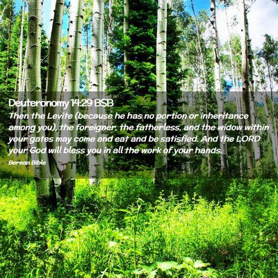 Picture 02 - Deuteronomy 14:29 BSB - Then the Levite (because he has no portion or - Bible Verse Picture