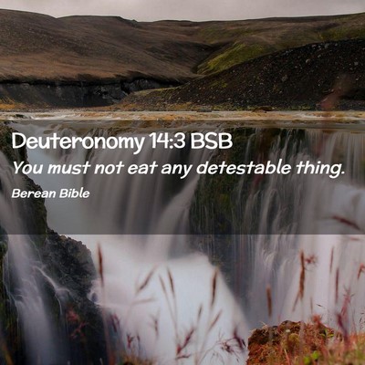 Picture 02 - Deuteronomy 14:3 BSB - You must not eat any detestable - Bible Verse Picture