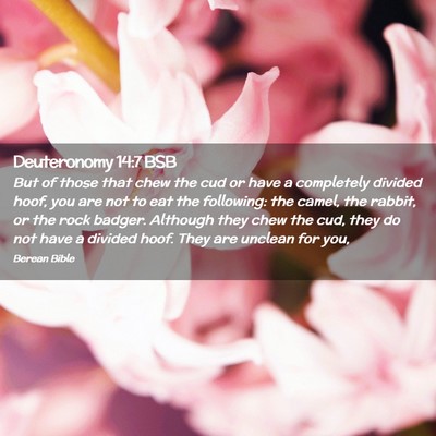 Picture 02 - Deuteronomy 14:7 BSB - But of those that chew the cud or have a - Bible Verse Picture