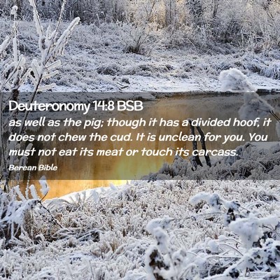 Picture 02 - Deuteronomy 14:8 BSB - as well as the pig; though it has a divided hoof, - Bible Verse Picture