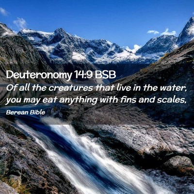 Picture 02 - Deuteronomy 14:9 BSB - Of all the creatures that live in the water, you - Bible Verse Picture